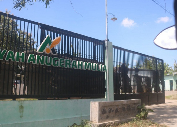 Warga Karangpakis Jombang Keluhkan Bau Menyengat Pabrik Pengolahan Bulu Ayam dan Truk Besar