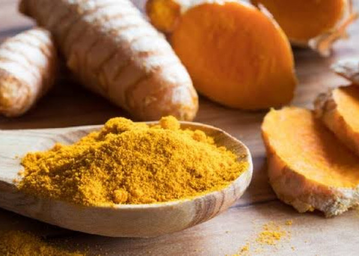 Manfaat Temulawak untuk Kesehatan Tubuh