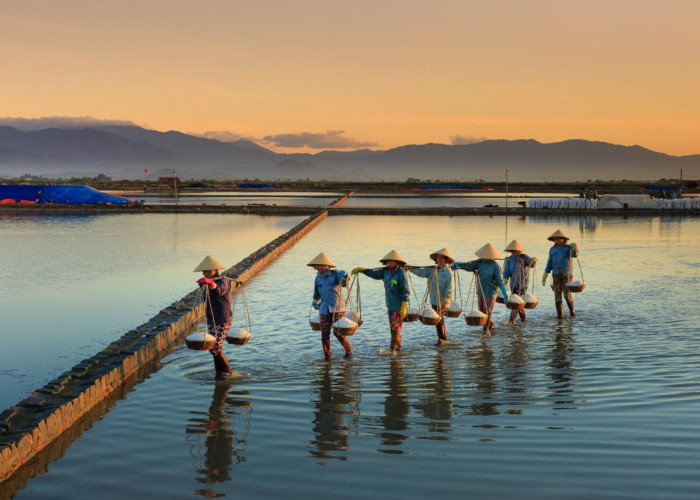 Dorong Sektor Produksi Bergeliat, BRI Salurkan KUR Rp69,8 triliun ke 8,3 Juta Debitur UMKM