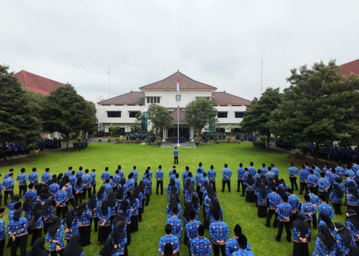 212 Guru dan Tenaga Kependidikan Non ASN di Lumajang Terdampak Regulasi Tetap Dapat Honorarium