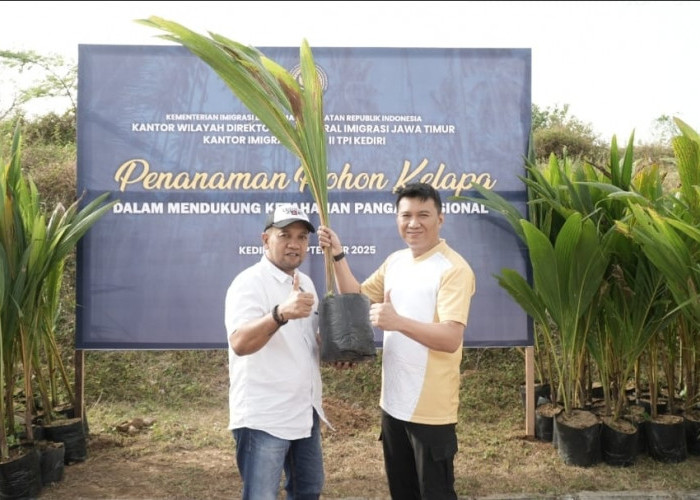 Kantor Imigrasi Kediri Tanam Ratusan Pohon Kelapa