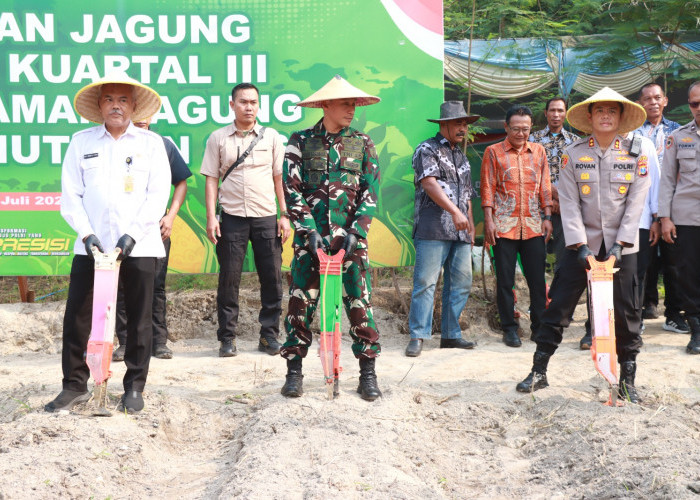 Polres Gresik Genjot Swasembada Pangan Lewat Tanam Jagung Serentak di Randu Agung   