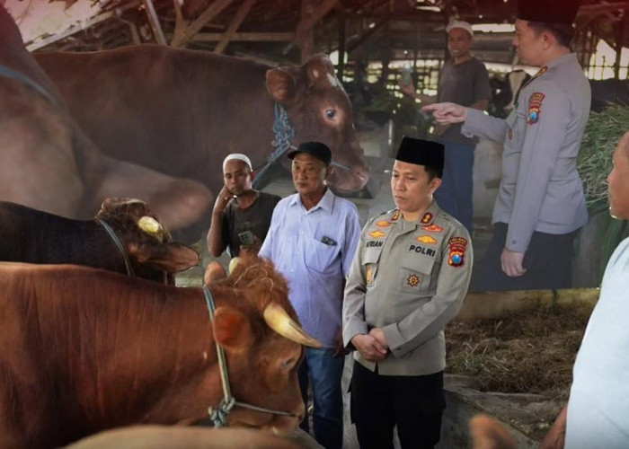 Antisipasi Pencurian, Kapolres Bojonegoro Cek Kandang Ternak Jelang Iduladha