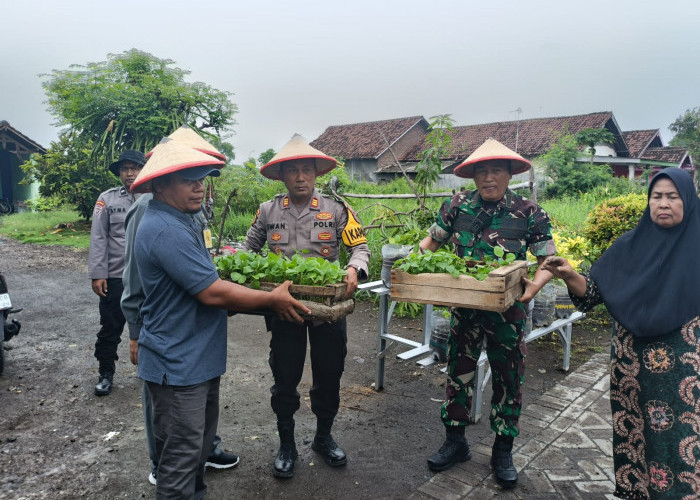 Polisi Serahkan Bibit Tanaman dan Gelar Penyuluhan Ketahanan Pangan di Jabon