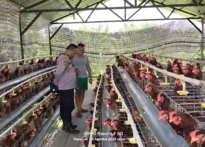 Polisi Dampingi Pembudidaya Ayam Petelur di Kalisat Rembang, Saat Ini Berkembang Baik