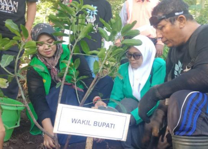 Pulihkan Ekosistem Pascabanjir, DPC PPP Situbondo Tanam Ribuan Pohon di Tambak Ukir