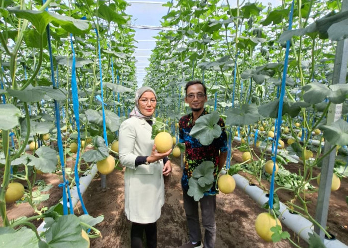 BRI Tulungagung Guyur KUR Rp741 M, 15 Ribu UMKM Rasakan Manfaatnya