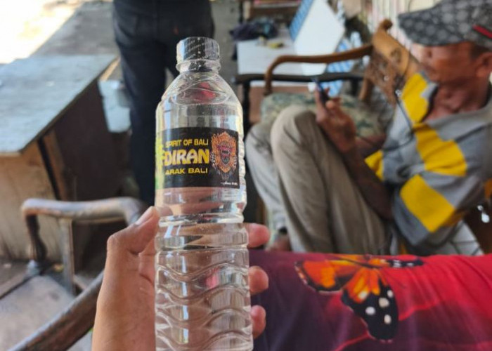 Bisnis Arak di Balik Bekupon Burung Dara, Dipasok Langsung dari Bali Lewat Truk Ekspedisi