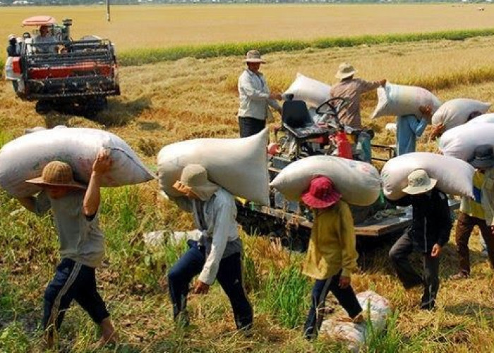 Bernarkah Nilai Dolar Tak Berpengaruh bagi Desa? Ini Sebenarnya