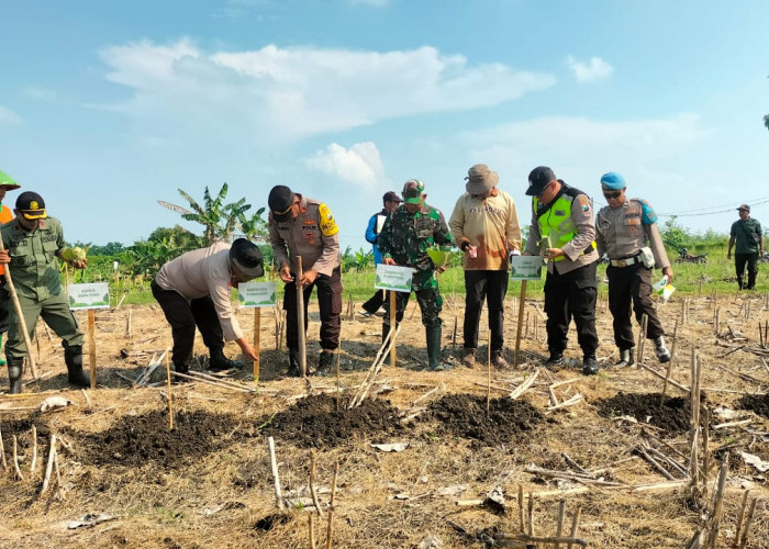 Dukung Ketahanan Pangan, Kapolsek Purwosari Taman Jagung 