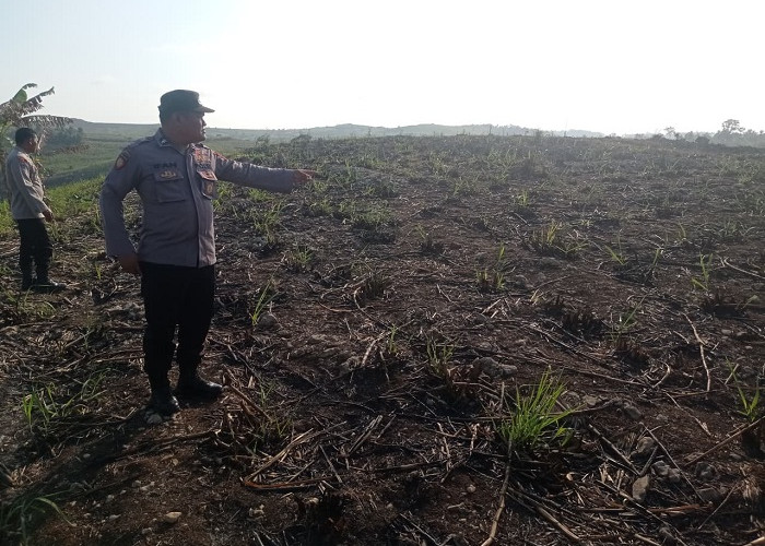 Bakar Daun Tebu Kering, Nenek di Blitar Tewas Terjebak Kobaran Api