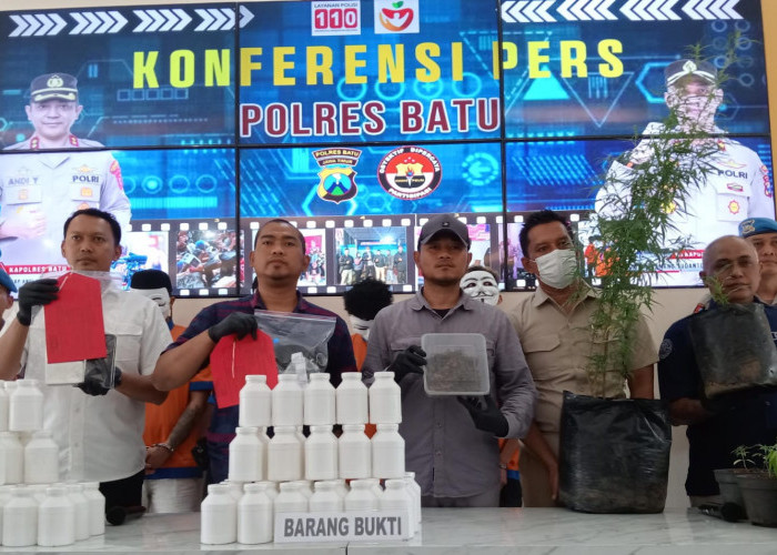 Polres Batu Amankan Petani Ganja, Ternyata Sarjana Pertanian Universitas Terkemuka di Kota Malang