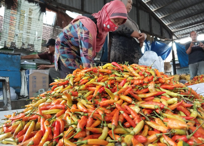 Harga Cabai di Pasar Ngemplak Tulungagung Sentuh Rp 90 Ribu Per Kilogram