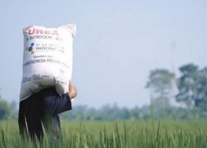 Ketua Fraksi PDIP DPRD Jatim Soroti 557 Ribu Ton Pupuk Bersubsidi Jawa TimurBelum Tersalur