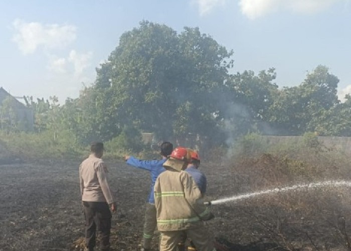 Lahan Kosong di Sukorejo Terbakar, Polres Lamongan dan Damkar Padamkan Api 14 Menit