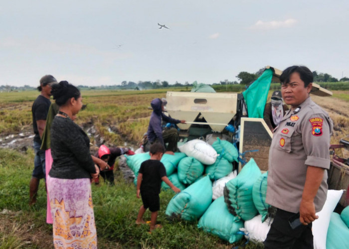 Polisi Prambon Apresiasi Hasil Panen Padi Warga Semampir