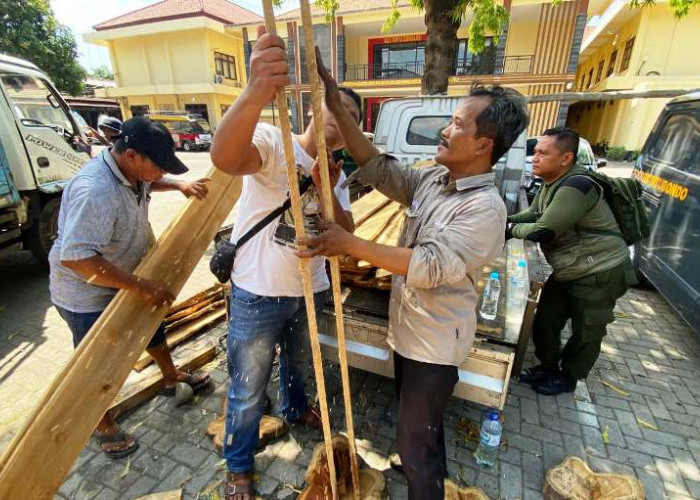 Polisi dan KPH Bondowoso Bongkar Sindikat Illegal Logging di Situbondo