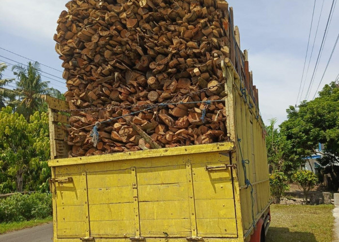 Tragis! Pulang Jualan Ayam, Warga Semboro Jember Tewas Tertimpa Tiang Listrik Akibat Truk Overload