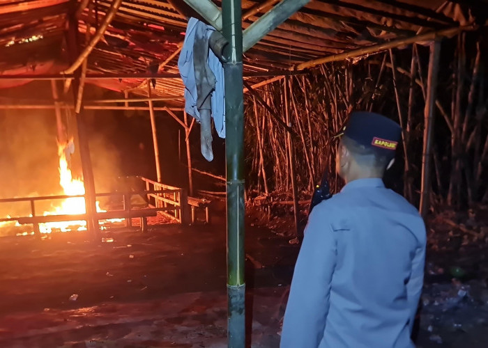 Polres Malang Gerebek Judi Sabung Ayam Karangploso, Amankan 47 Motor