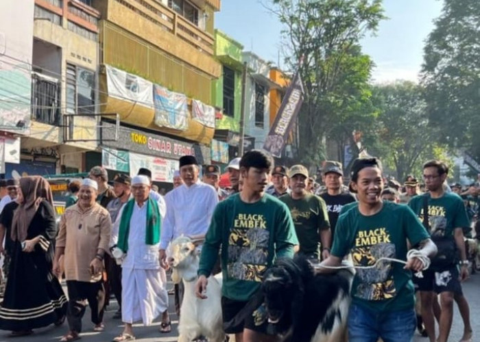 Senangkan Hewan Kurban dengan Diarak Keliling Kampung, PJ Walikota Malang : Bagian dari Kearifan Lokal
