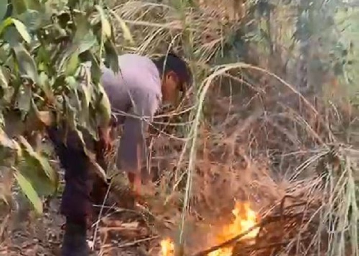 Polsek Buduran Gerak Cepat Padamkan Kebakaran Lahan di Prasung Sidoarjo
