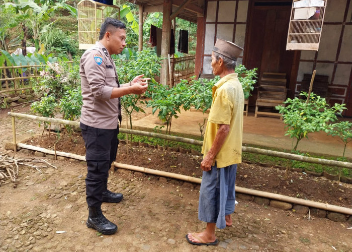 Bhabinkamtibmas Jogorogo Monitoring Tanaman Cabai Warga, Perkuat Ketahanan Pangan di Ngawi