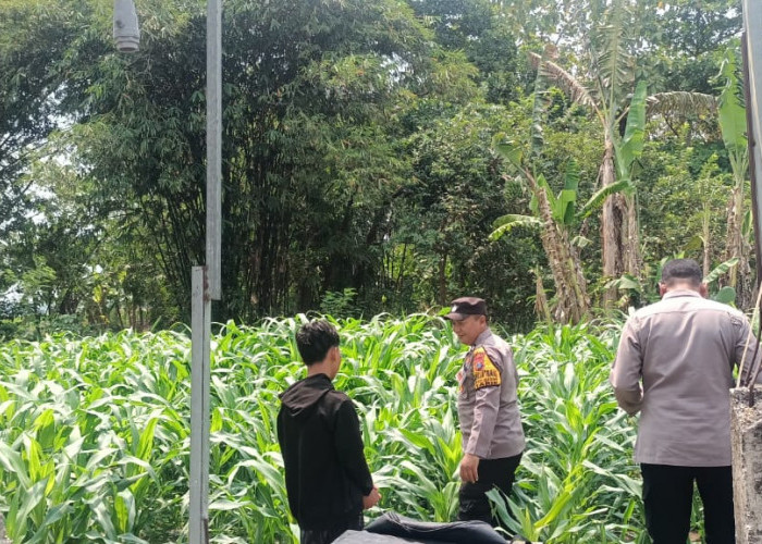 Polsek Tarik Gandeng Ponpes Gencarkan Ketahanan Pangan