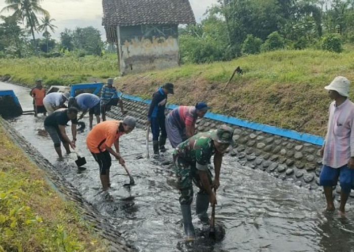 Babinsa Mojosari dan Warga Lumajang Gotong Royong Bersihkan Saluran Dam Jurang Dawir