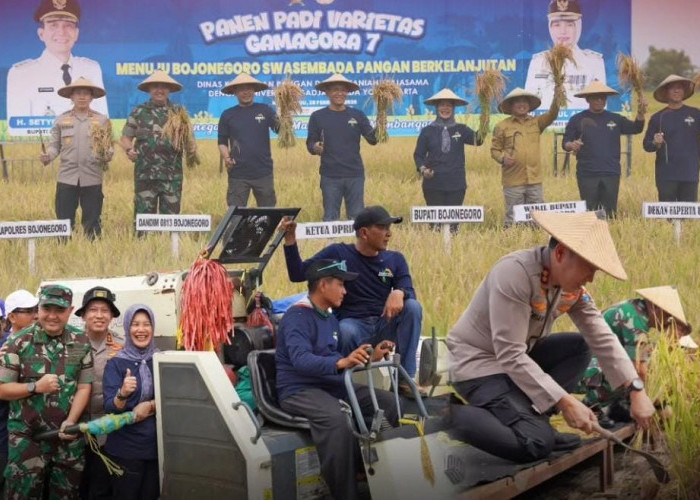 Dukung Swasembada Pangan, Kapolres Bojonegoro dan Forkopimda Panen Raya Padi Varietas Gamagora 7