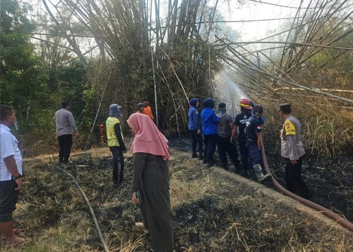 Polisi Ngawi Bersama Damkar Padamkan Kebakaran Rumpun Bambu di Paron, Diduga Akibat Pembakaran Sampah