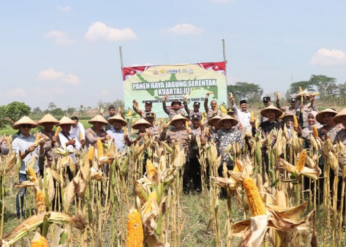 Panen Raya Jagung Serentak, Polres Nganjuk Sumbang 10 Ton di Kuartal III 2025 
