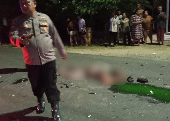 Adu Banteng Motor vs Pikap, Pengendara Vario Tewas di Balongpanggang Gresik