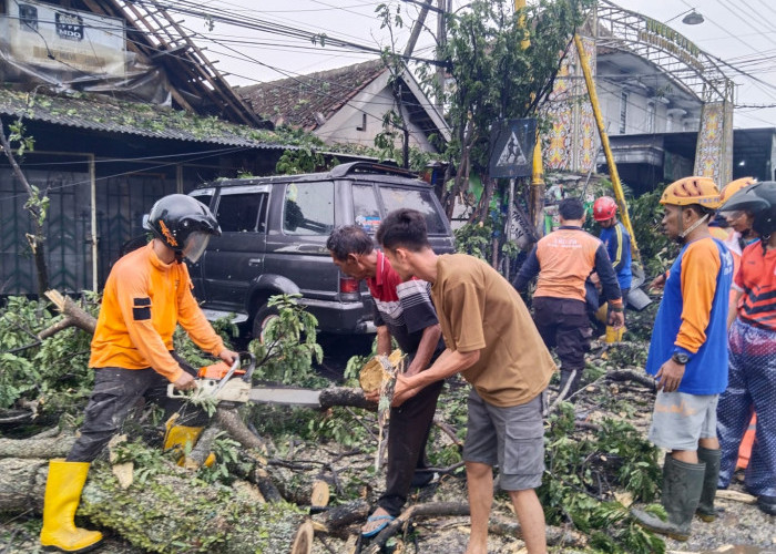 Wilayah Pakisaji Dilanda Puting Beliung, Dua Mobil Tertimpa Pohon 