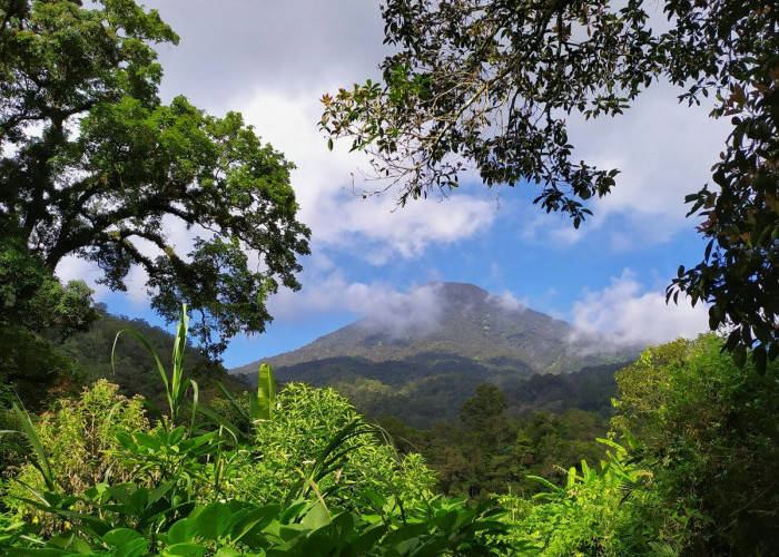 Misteri Gunung Padang, Peninggalan Sejarah yang Mengagumkan dan Penuh Teka-teki