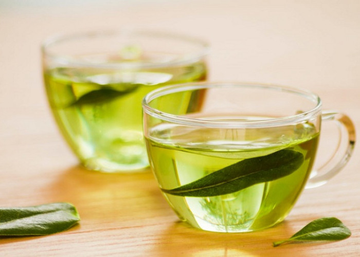 Teh Hijau Menjadi Minuman Terbaik Peningkat Fokus dan Fungsi Kognitif 