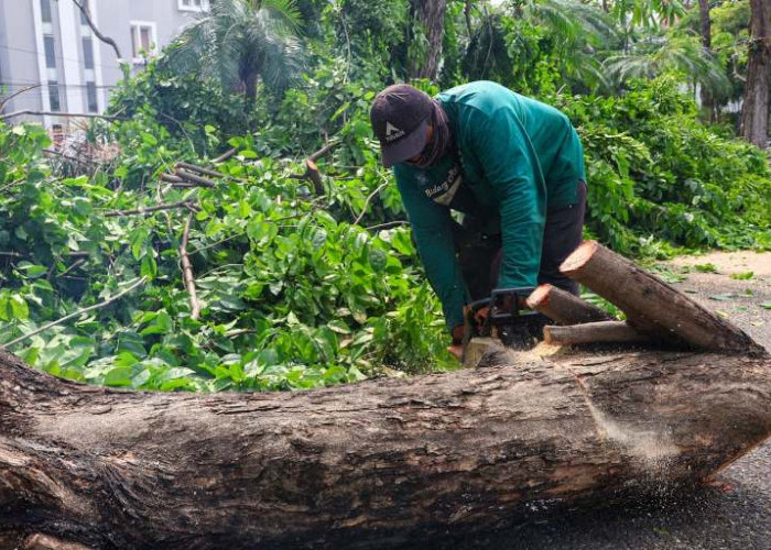 Antisipasi Cuaca Ekstrem, DLH Surabaya Siaga Tujuh Rayon 