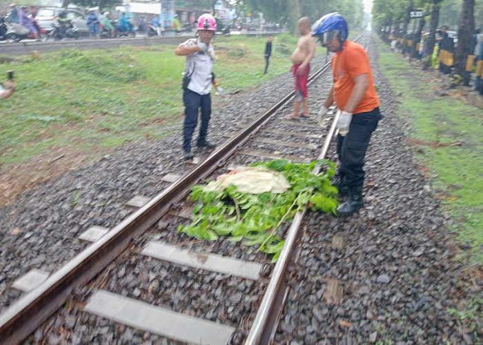 Warga Jalan Gembili, Wonokromo Tewas Ditabrak KA Logawa