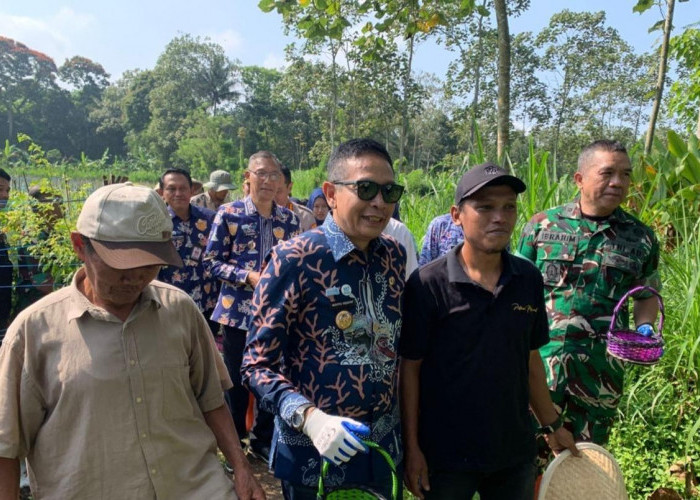 Wali Kota Malang Support Petani Cabai, Tinjau Panen Raya hingga Beri Bantuan Saprodi