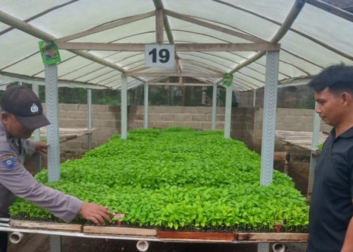 Polsek Sempu Optimalkan Progam Asta Cita Presiden Prabowo, Kunjungi Pekarangan Cabai Warga Jambewangi