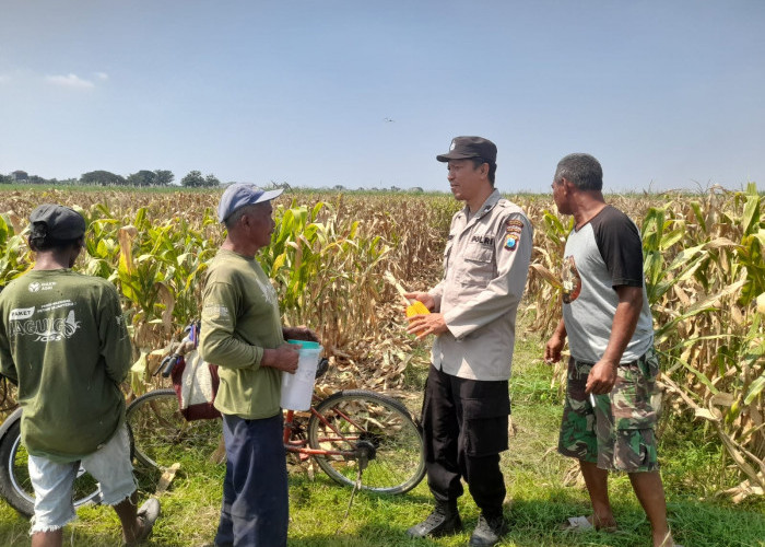 Kapolsek Prambon Masifkan Bhabinkamtibmas Sambang Petani, Dongkrak Swasembada Pangan