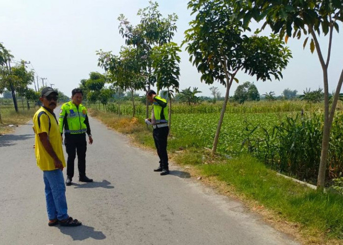 Kecelakaan Maut di Kedamean Gresik, Pejalan Kaki Tewas Tertabrak Vario