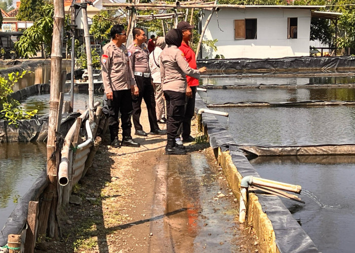 Budi Daya Gurami Desa Popoh Wonoayu Didatangi Tim Monev Program Ketahanan Pangan Polresta Sidoarjo 