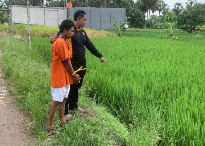 Polisi Tangkap Pembegal Driver Ojol di Menganti Gresik
