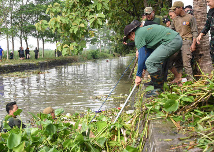 Ini Lho Jihad Rawat Sungai ala Sidoarjo