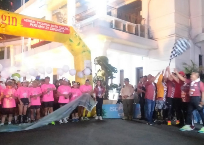 Ratusan Pelari Ambil Bagian dalam Malang Night Run 2024