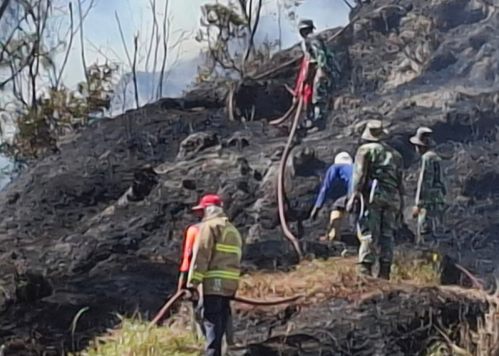 Pemprov Jatim Bakal Rehabilitasi Lahan Bromo Seluas 1.121 Hektare