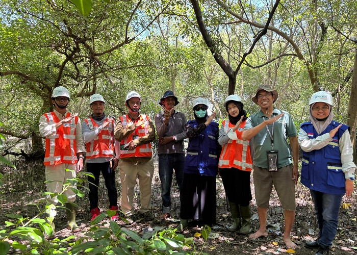 Lestarikan Mangrove, Terminal Petikemas Surabaya Perkuat Keberlanjutan Pesisir di Tanjung Perak