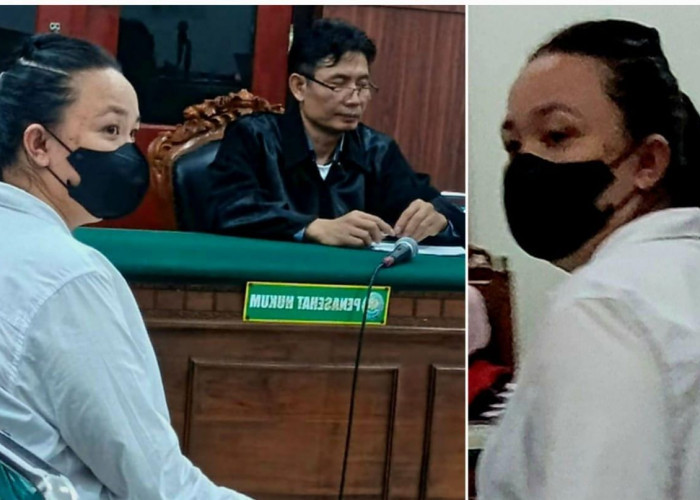 Theresia Febyane Cristanto Sang Penadah Mobil Bodong Divonis 7 Bulan Penjara