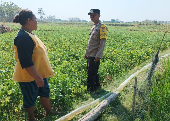 Bhabinkamtibmas Polsek Pitu Dorong Warga Manfaatkan Pekarangan untuk Ketahanan Pangan