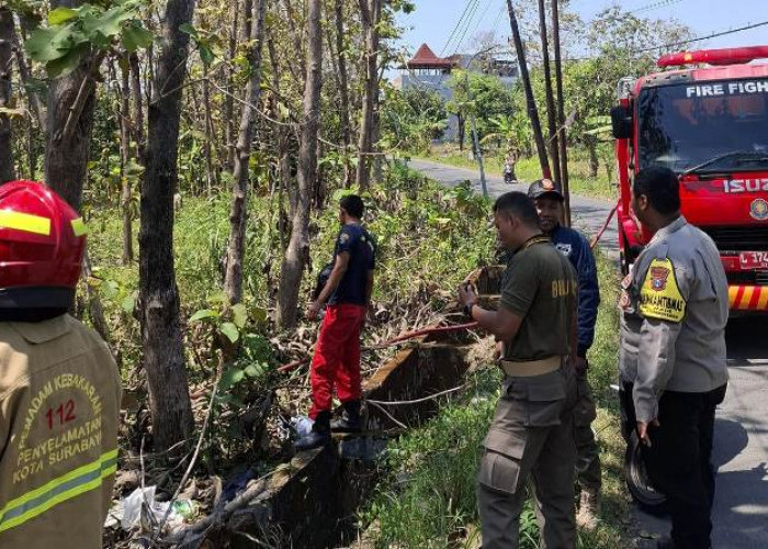 Polsek Lakarsantri Bersama Bhabinkamtibmas Gerak Cepat Tangani Kebakaran Lahan di Made Surabaya